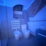 Apartman Medieval Hydro Chrome Kingsize Therapy In